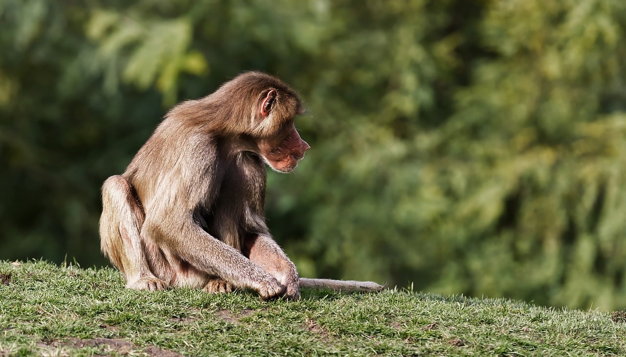 Human Behavior: The Backbone of Effective Safety Measures